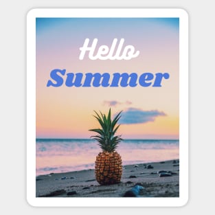 Hello Summer Sticker